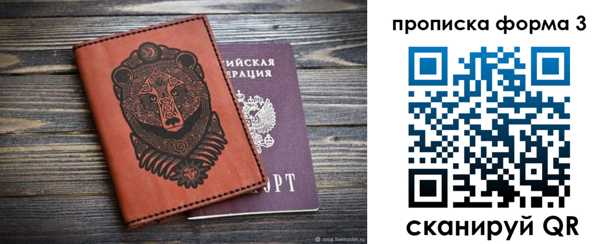 прописка поиск в Тольятти